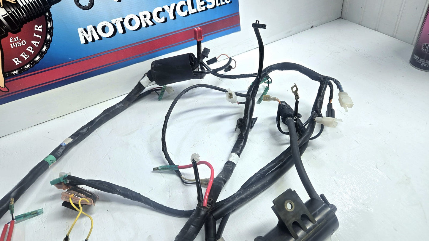 04 to 09 Yamaha XC125 Wiring Harness