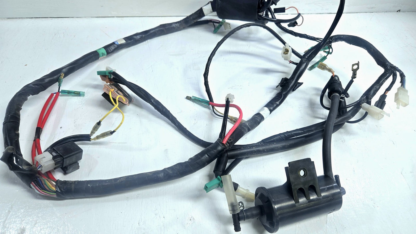 04 to 09 Yamaha XC125 Wiring Harness