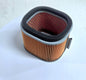 HiFlo - HFA2903 - Air Filter