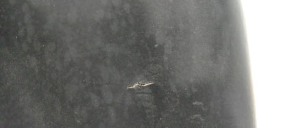 1981 HONDA Passport C70 FRONT DRIVERS SEAT PAD SADDLE PILLION