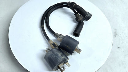 Ignition Coils for Suzuki GSXR750 GSX-R750 1996 1997 1998 1999 Double Line