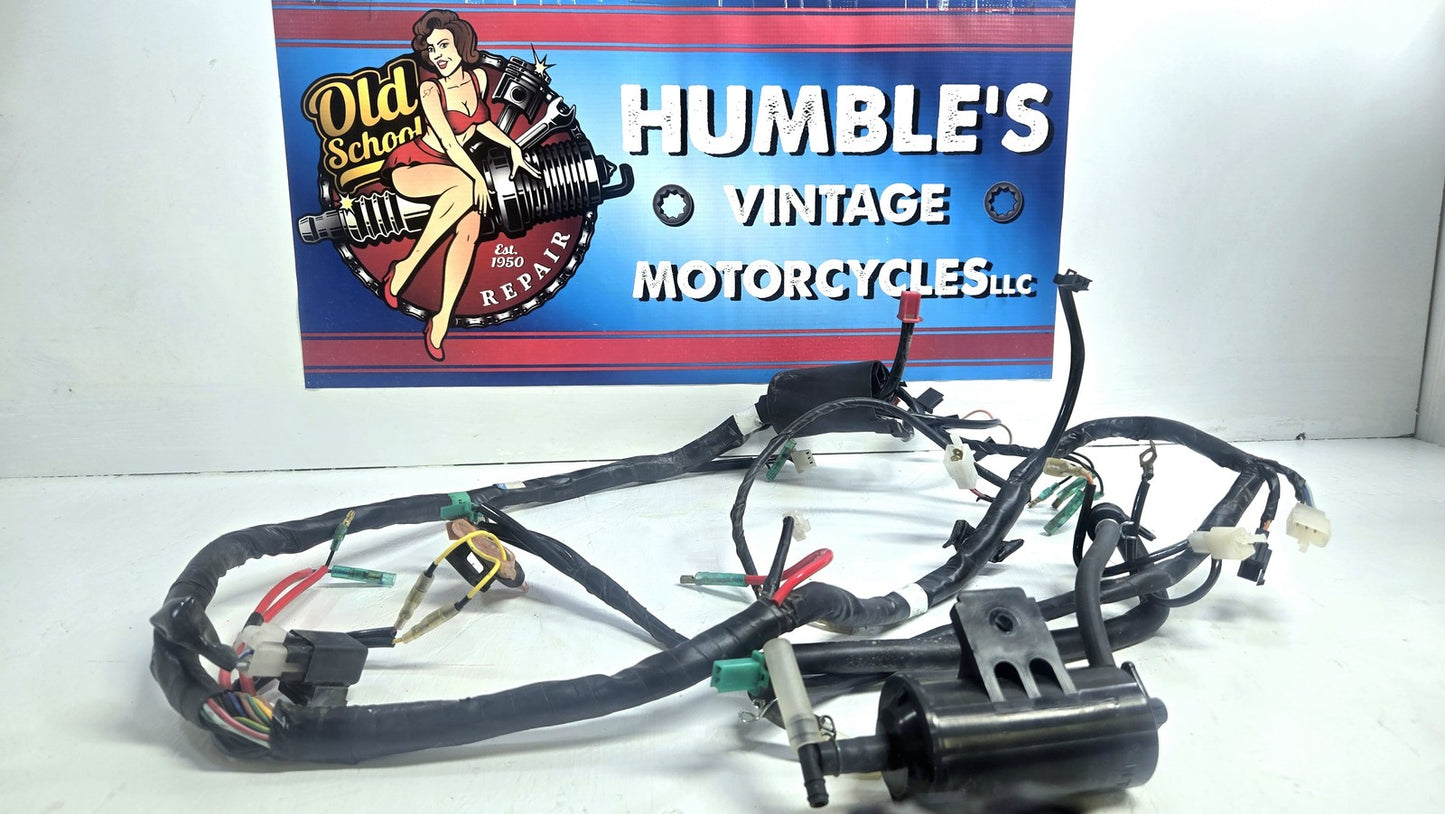 04 to 09 Yamaha XC125 Wiring Harness