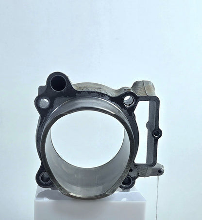 Kawasaki OEM Cylinder 11005-0704